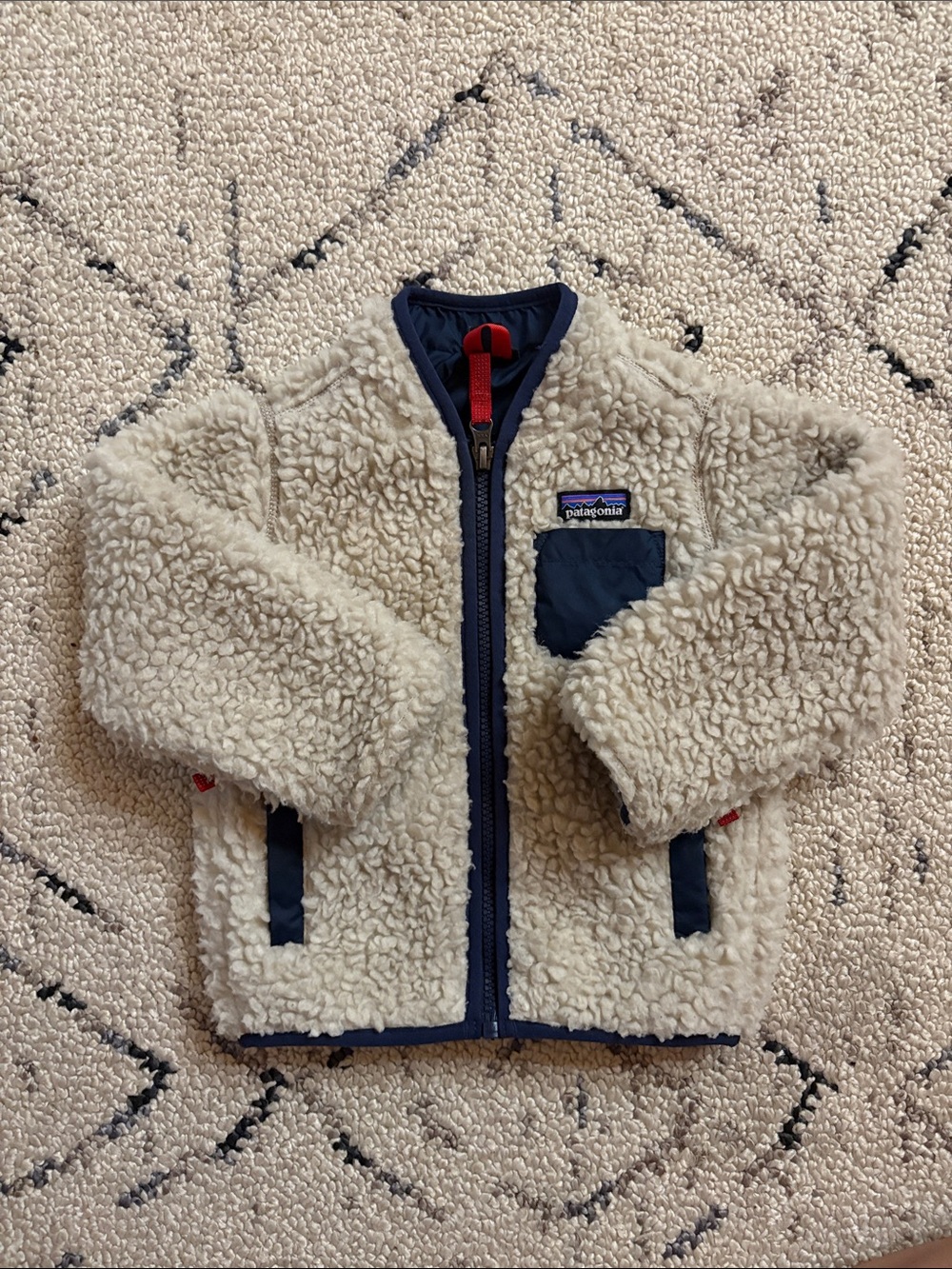 Patagonia Kids  Fleece Jacket (12/18m) EUC